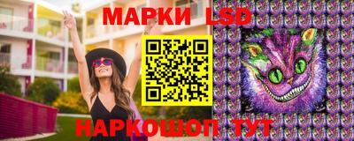 прущие грибы Чебаркуль