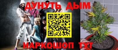 прущие грибы Чебаркуль