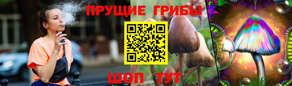 Галлюциногенные грибы ЛСД  Вход с VPN  Мытищи  Галлюциногенные грибы Psilocybe 